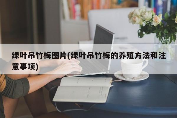 绿叶吊竹梅图片(绿叶吊竹梅的养殖方法和注意事项) 20240717更新