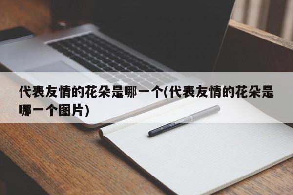 代表友情的花朵是哪一个(代表友情的花朵是哪一个图片) 20240720更新